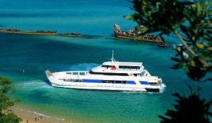 Queensland Day Tours - Accommodation 4U