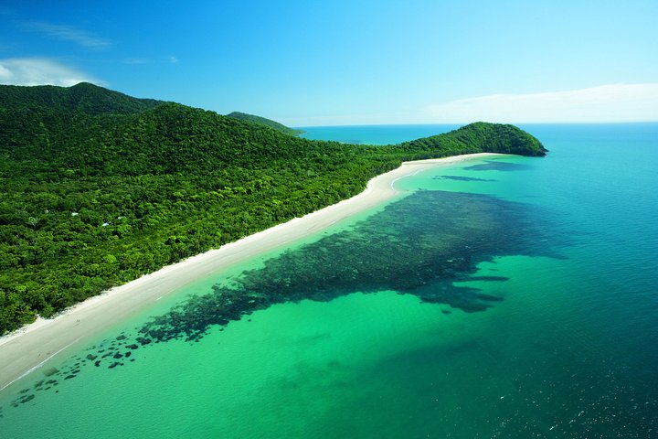 Cape Tribulation, Mossman Gorge, And Daintree Rainforest Day Trip From Cairns Or Port Douglas - Accommodation 4U